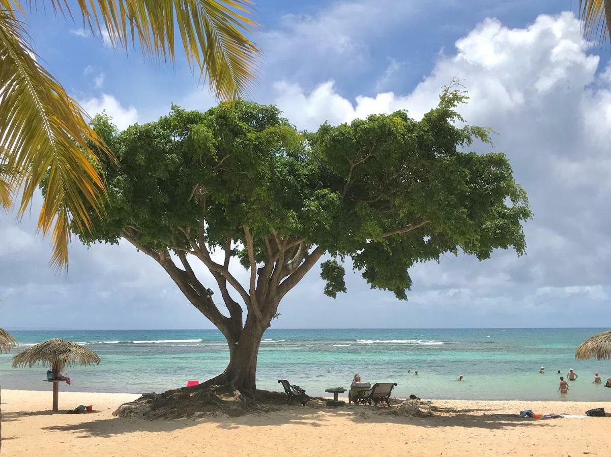 Ti.Maanga Vue Mer Pieds Dans L'Eau Saint-Francois  Exterior foto